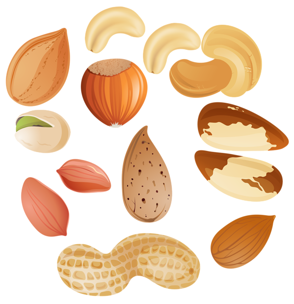 Nuts PNG Clipar Image | Gallery Yopriceville - High-Quality Free Images ...