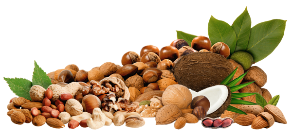 This png image - Nuts PNG Clipar Picture, is available for free download