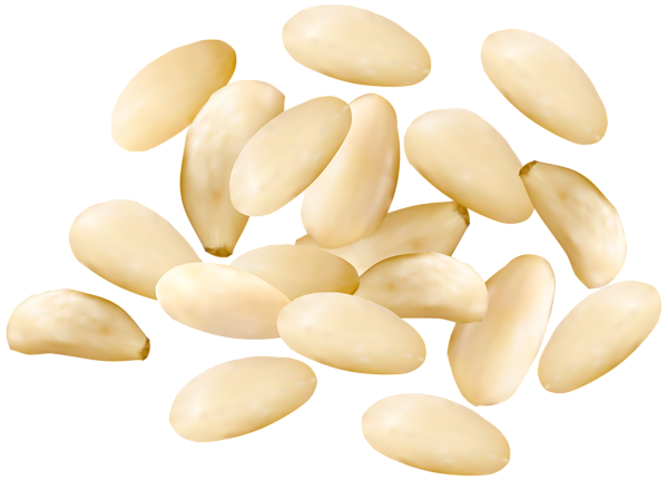 This png image - Pine Nuts PNG Clipart Image, is available for free download
