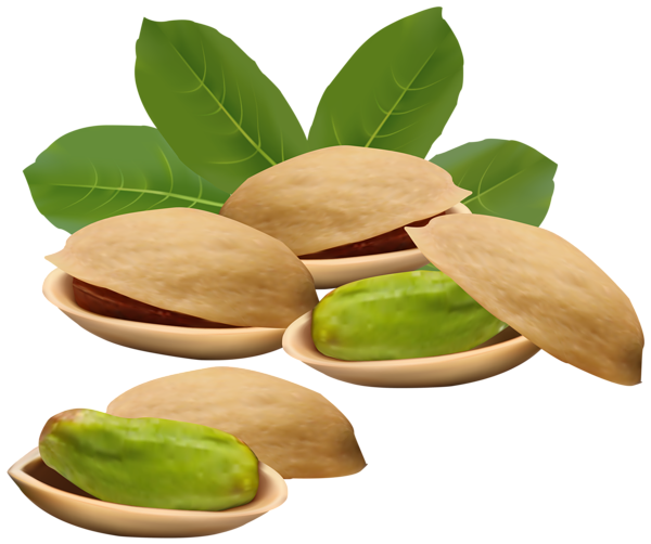 This png image - Pistachio Nuts PNG Clipart Image, is available for free download