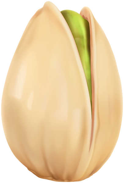 This png image - Pistachio PNG Clipart, is available for free download