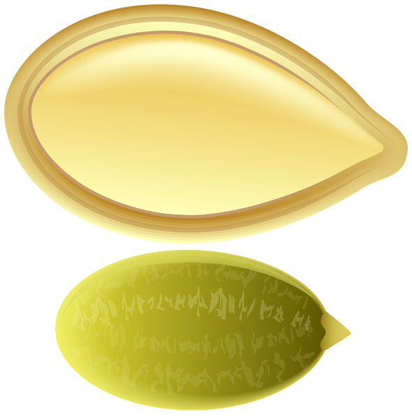 This png image - Pumpkin Seed PNG Clip Art, is available for free download