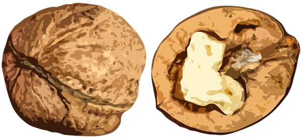 This png image - Realistic Walnut PNG Clipart, is available for free download