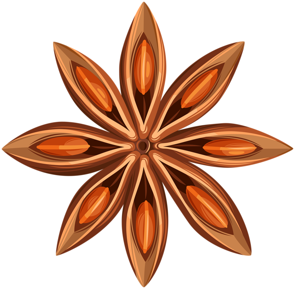 This png image - Star Anise PNG Clipart, is available for free download