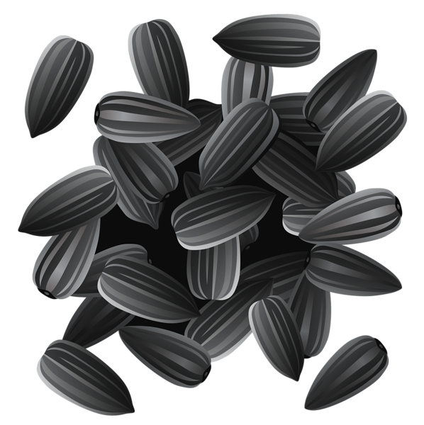 Sunflower Seeds PNG Clipart Image | Gallery Yopriceville - High-Quality ...