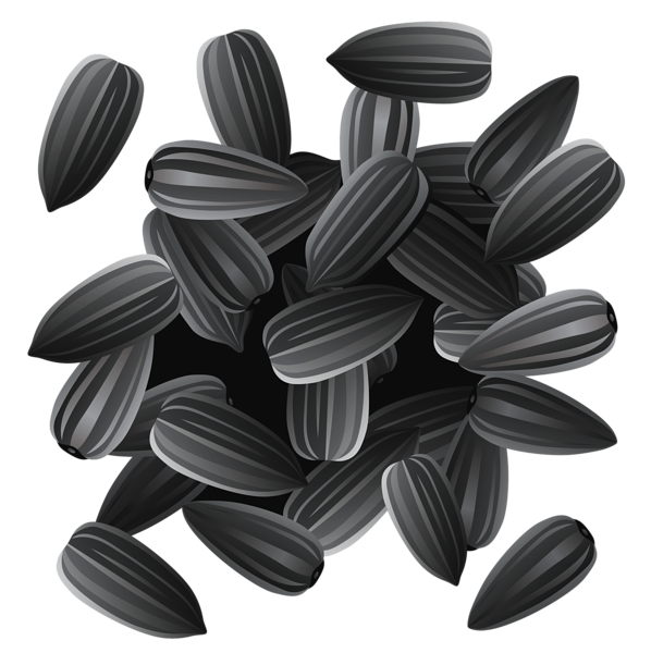 This png image - Sunflower Seeds PNG Clipart Image, is available for free download