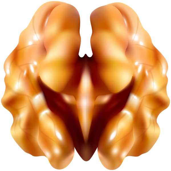 This png image - Walnut PNG Clipart, is available for free download