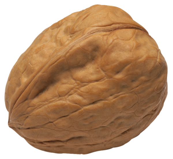 This png image - Walnut PNG Image, is available for free download