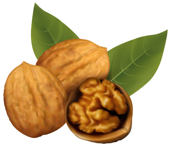 This png image - Walnuts PNG Clipart Image, is available for free download
