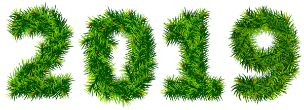 This png image - 2019 Pine Tree PNG Clipart Image, is available for free download