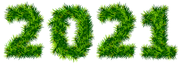 This png image - 2021 Pine Tree PNG Clipart Image, is available for free download