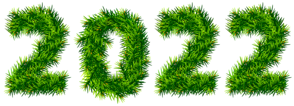 This png image - 2022 Pine Tree PNG Clipart Image, is available for free download