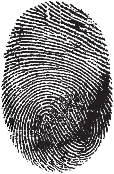 This png image - Fingerprint PNG Clip Art, is available for free download