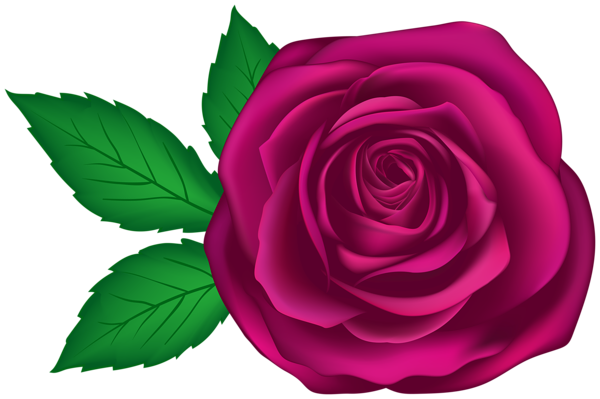This png image - Art Rose Transparent Clipart Image, is available for free download