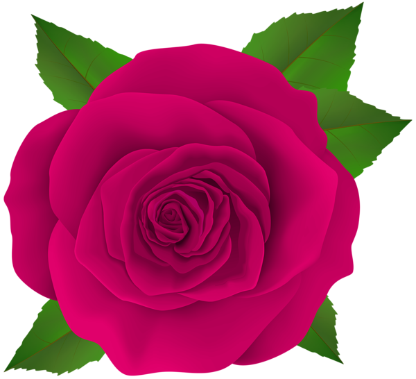 This png image - Beautiful Pink Rose Flower PNG Transparent Clipart, is available for free download