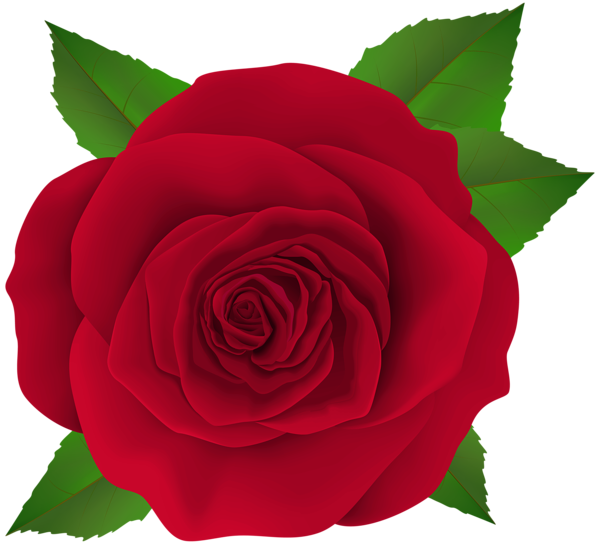 This png image - Beautiful Red Rose Flower PNG Transparent Clipart, is available for free download