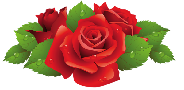 This png image - Beautiful Red Rose PNG Picture, is available for free download