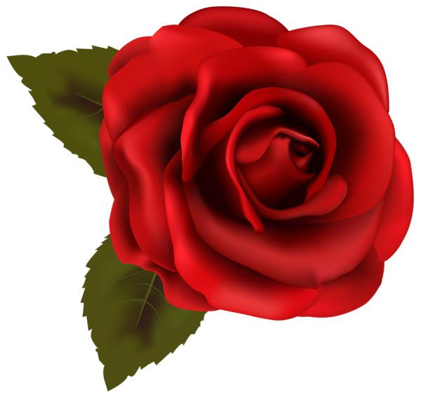This png image - Beautiful Red Rose Transparent PNG Clip Art Image, is available for free download