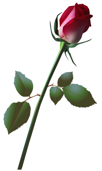 This png image - Beautiful Rose Bud PNG Clip Art Image, is available for free download