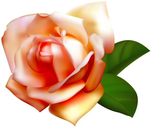 This png image - Beautiful Rose Clipart PNG Image, is available for free download