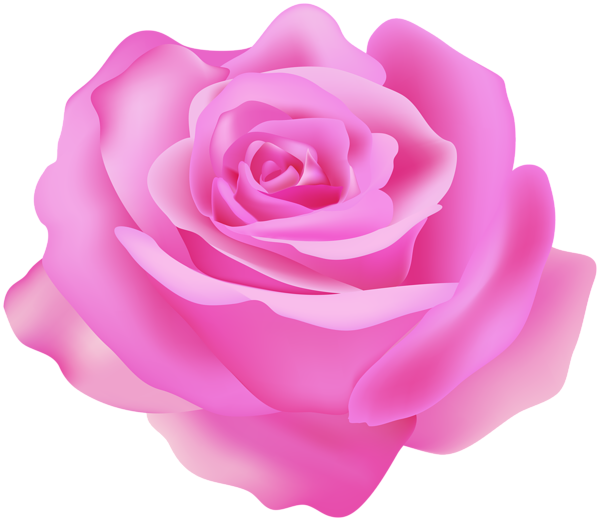 This png image - Beautiful Rose Pink Transparent Clipart, is available for free download