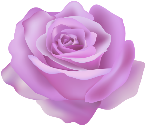 This png image - Beautiful Rose Purple Transparent Clipart, is available for free download