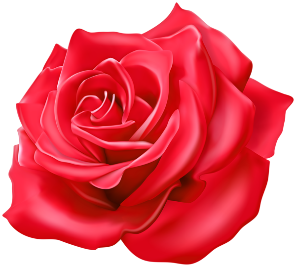 This png image - Beautiful Rose Red Transparent Image, is available for free download