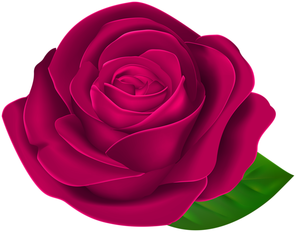This png image - Beautiful Rose with Leaf PNG Clipart, is available for free download
