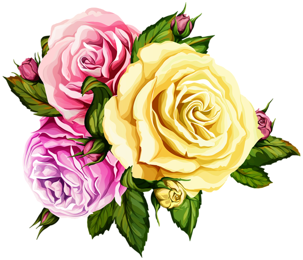 This png image - Beautiful Roses Transparent Image, is available for free download