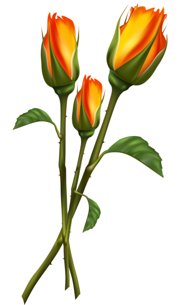 This png image - Beautiful Transparent Roses PNG Clipart Picture, is available for free download
