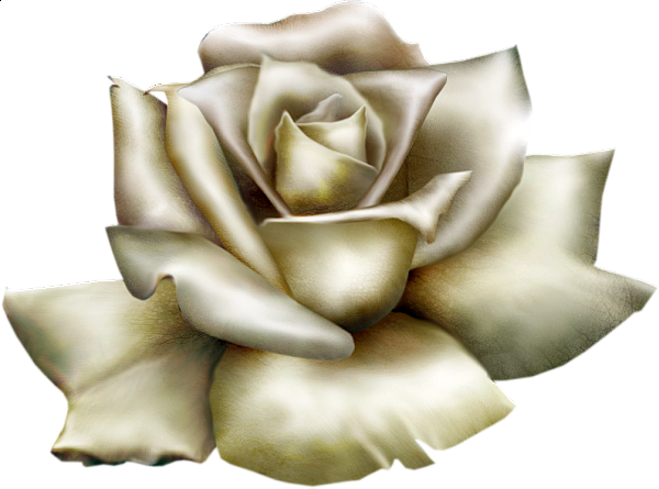 This png image - Beautiful White Rose Clipart, is available for free download