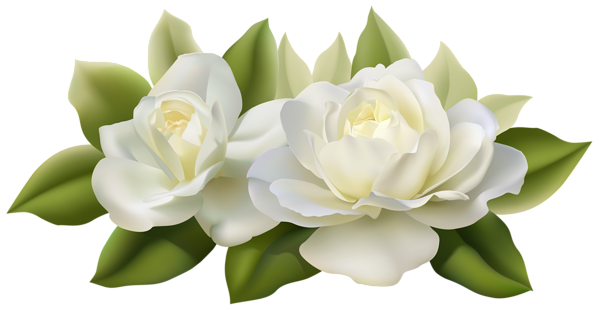 This png image - Beautiful White Roses with Leaves PNG Image, is available for free download