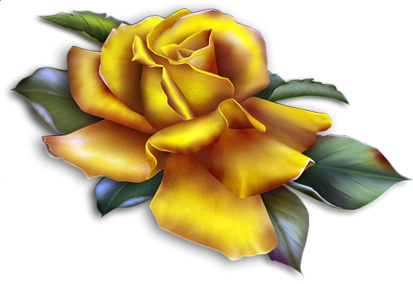 This png image - Beautiful Yellow Rose Clipart, is available for free download