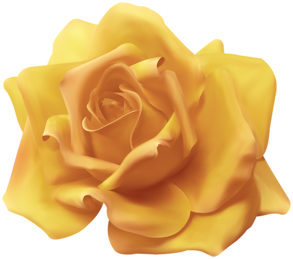 This png image - Beautiful Yellow Rose Transparent Image, is available for free download