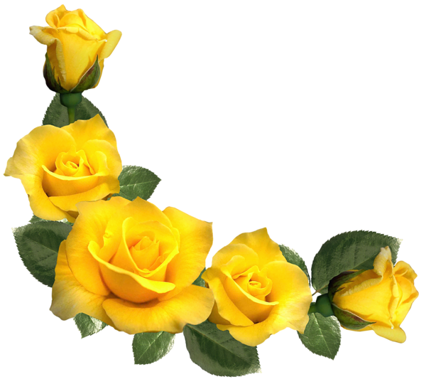 Beautiful Yellow Roses Decor PNG Clipart Image | Gallery Yopriceville ...