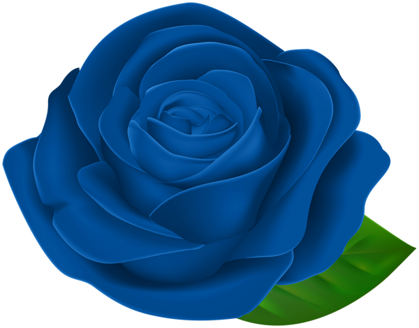 This png image - Blue Beautiful Rose with Leaf PNG Clipart, is available for free download