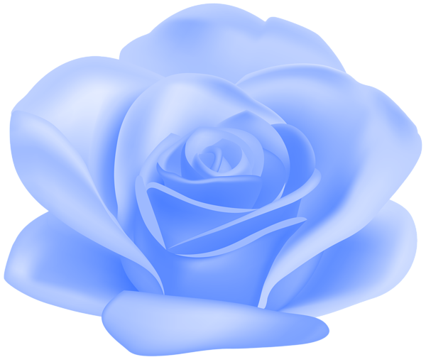 This png image - Blue Flower Rose Transparent Image, is available for free download