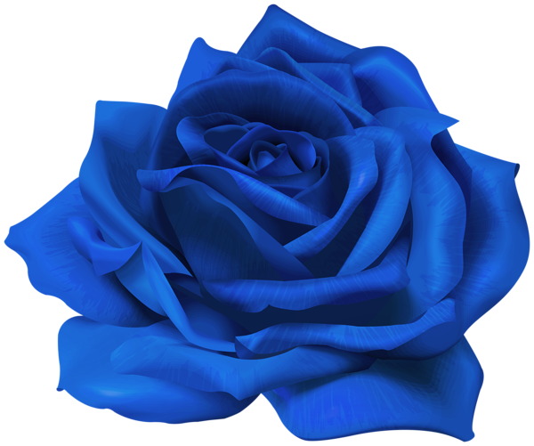 This png image - Blue Flower Rose Transparent Image, is available for free download