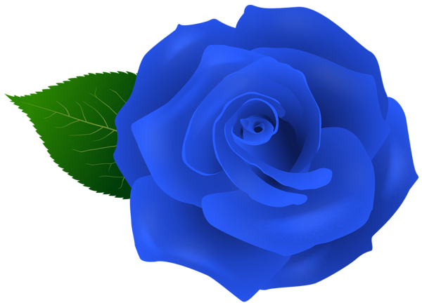This png image - Blue Rose Artistic PNG Transparent Clipart, is available for free download