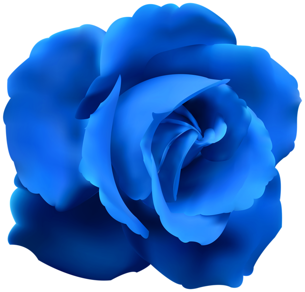 Blue Rose Clip Art PNG Image | Gallery Yopriceville - High-Quality
