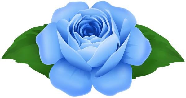 This png image - Blue Rose Decorative Clipart, is available for free download
