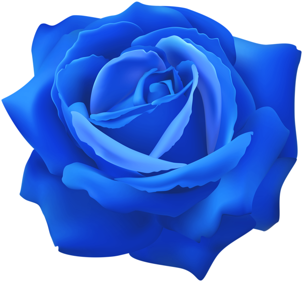This png image - Blue Rose Flower Clip Art Image, is available for free download