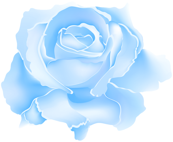 This png image - Blue Rose Flower PNG Clipart, is available for free download