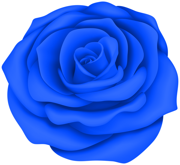 Blue Rose Flower Transparent Clip Art Image | Gallery Yopriceville ...