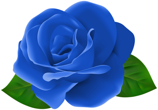 This png image - Blue Rose Flower with Leaves PNG Clipart, is available for free download