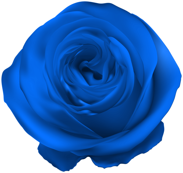 This png image - Blue Rose PNG Clip Art, is available for free download