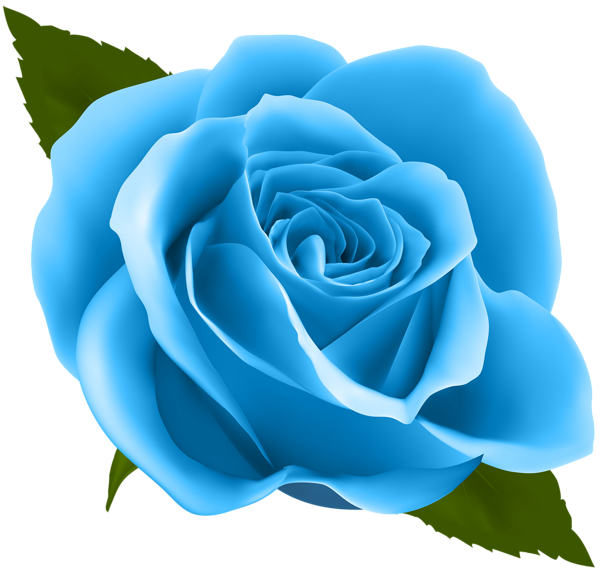 This png image - Blue Rose PNG Clip Art Image, is available for free download