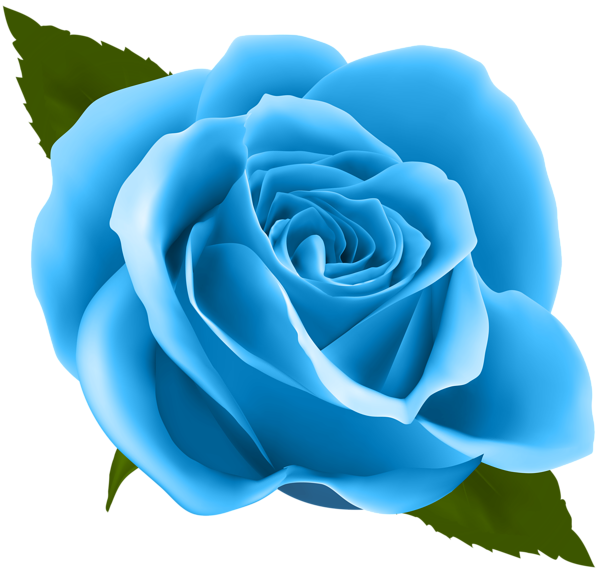 Blue Rose PNG Clip Art Image | Gallery Yopriceville - High-Quality Free