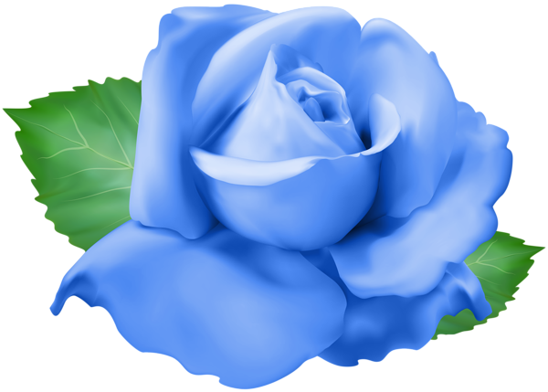 This png image - Blue Rose PNG Clip Art Transparent Image, is available for free download