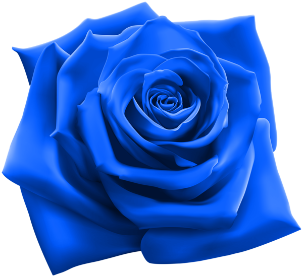 This png image - Blue Rose PNG Clipart Image, is available for free download